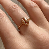 Shelby - Cowrie Ring