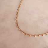 Rosaline - Charm Chain Necklace