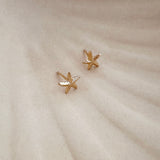 Daphné - Starfish Studs