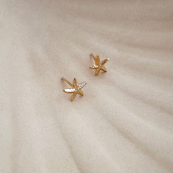 Daphné - Starfish Studs