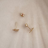 Daphné - Starfish Studs